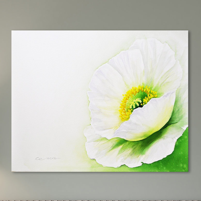 wp095 (김태영) 하얀 양귀비 꽃 수채화 캔버스그림